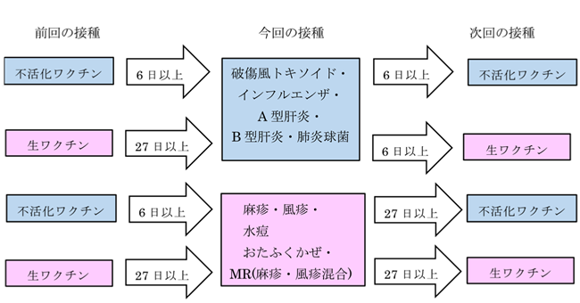 ワクチンの接種間隔画像